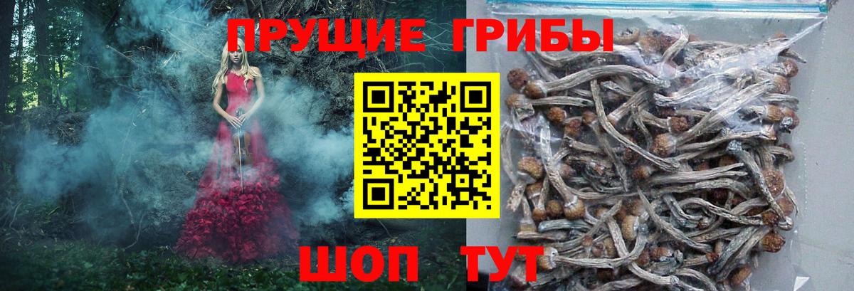 Галлюциногенные грибы Magic Shrooms Чапаевск